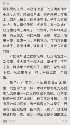 菲律宾移民局护照丢失能补办吗(移民局业务总结)